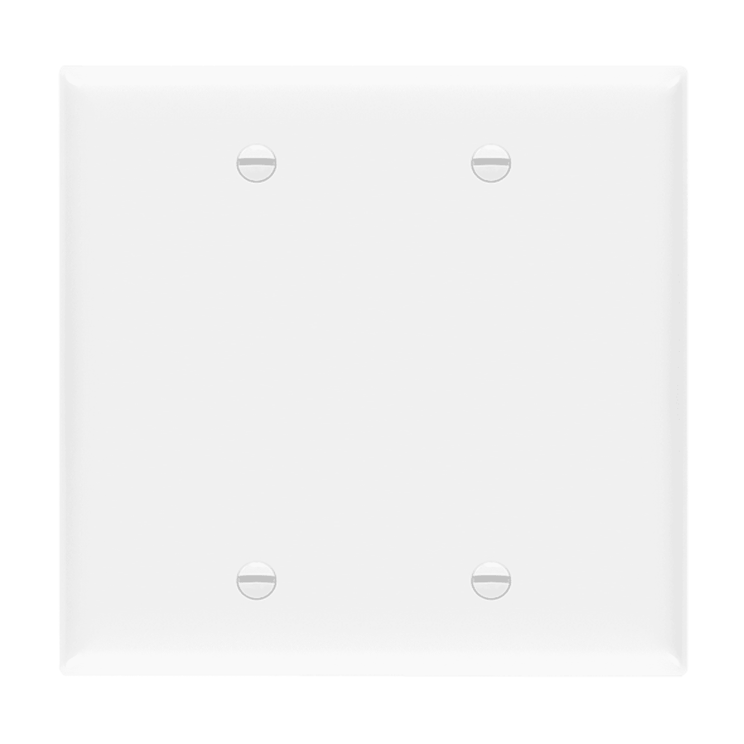 Blank Cover Two-Gang Wall Plate, Mid-Size - White
