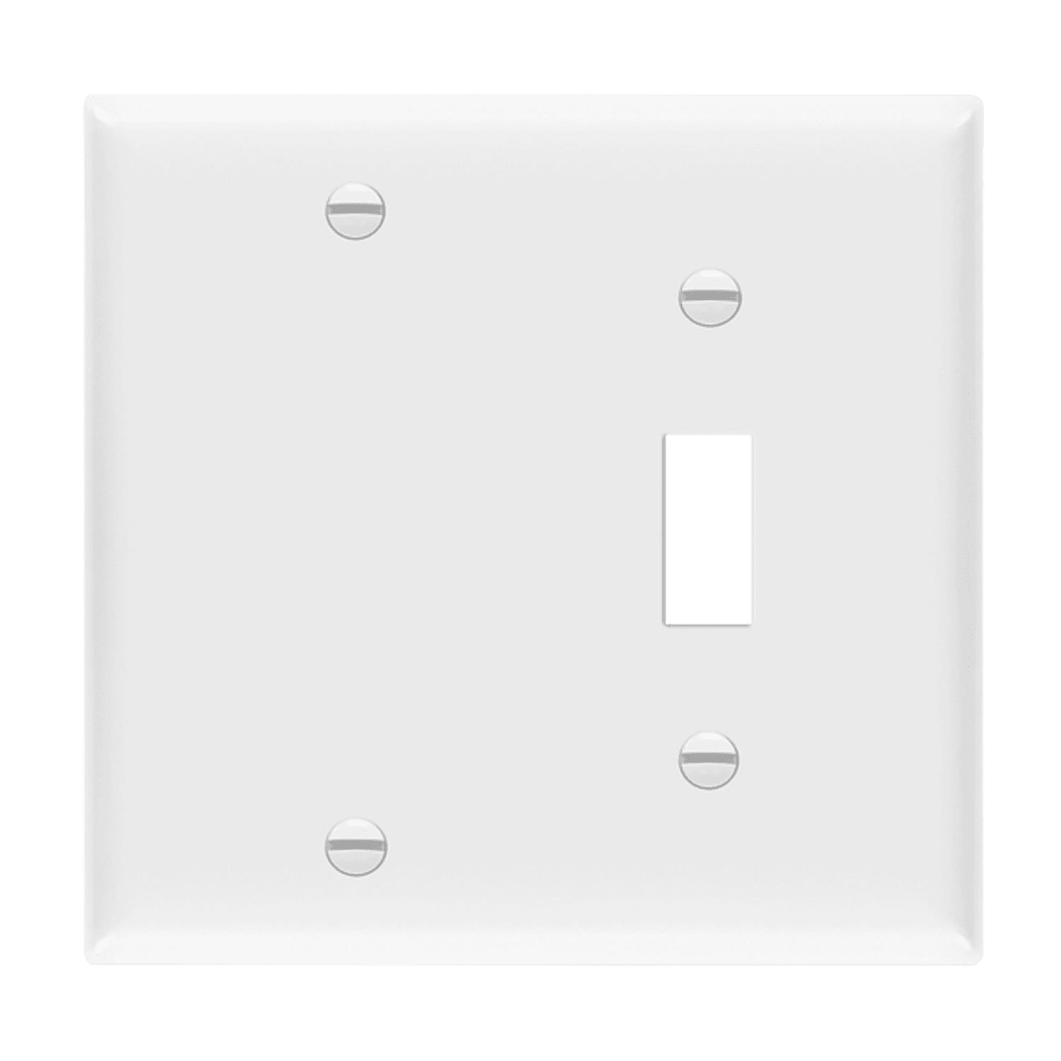 Combination Two-Gang Wall Plate – Blank and Toggle - White