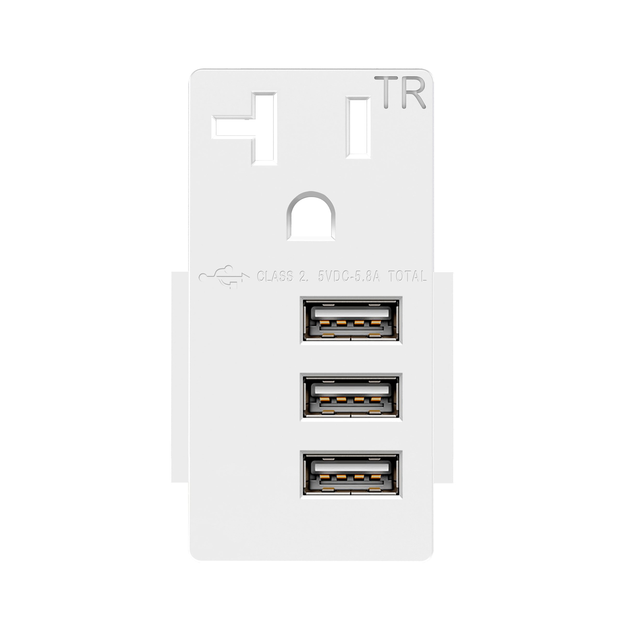Three Type-A USB 20A Module - White