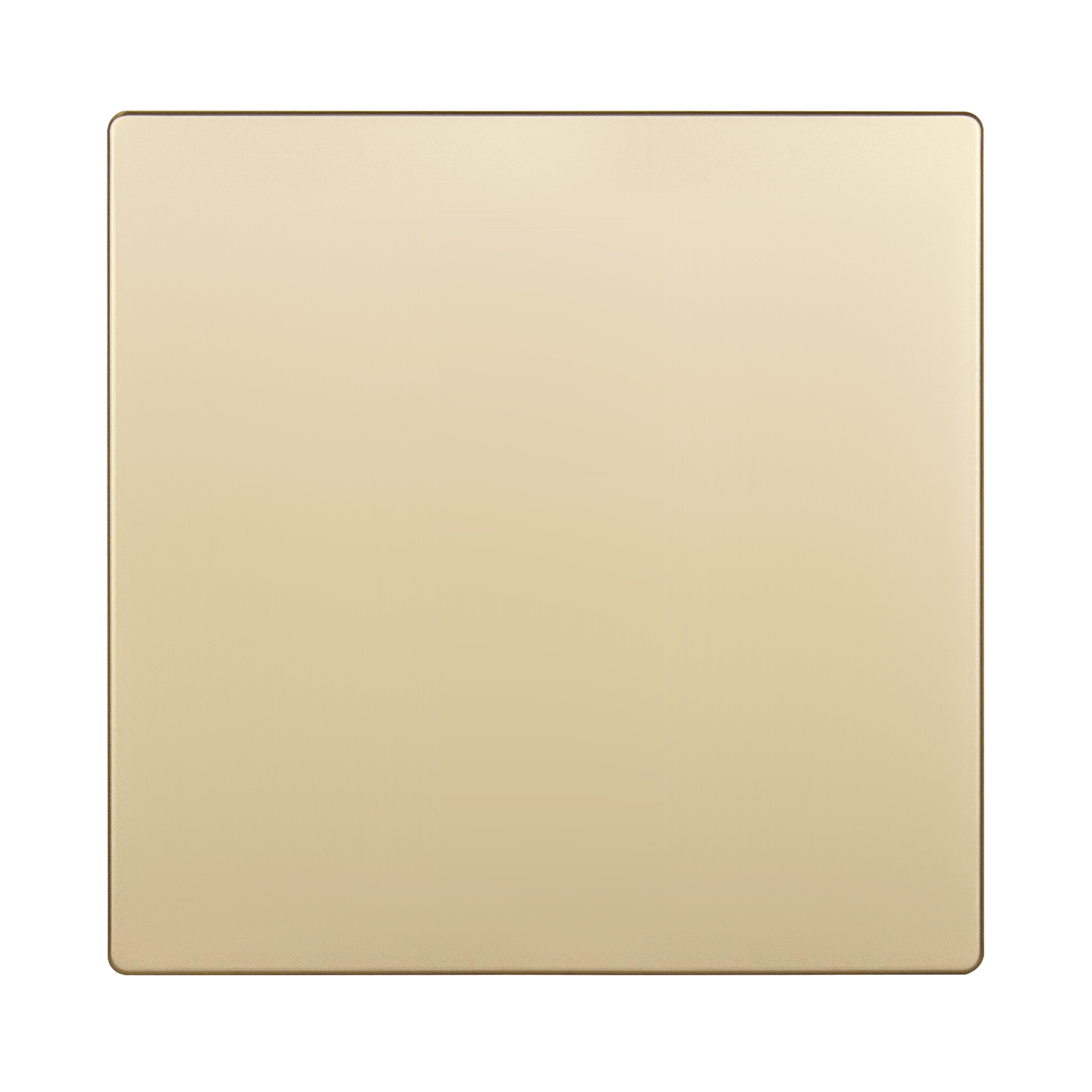 Screwless Blank Two-Gang Wall Plate - Gold